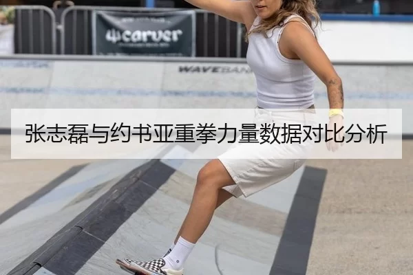 张志磊与约书亚重拳力量数据对比分析