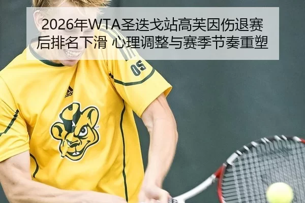 nian-sheng-die-ge-zhan-gao-fu-yin-shang-tui-sai-hou-pai-ming-xia-hua-xin-li-tiao-zheng-yu-sai-ji-jie-zou-zhong-su-3-973.jpg
